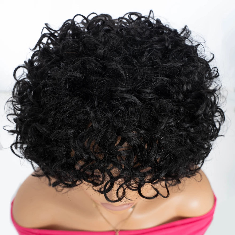 Short Curly Human Hair Wigs for Black Women P4/27/30 Short Curly Wigs for African American Glueless Human Hair Wigs