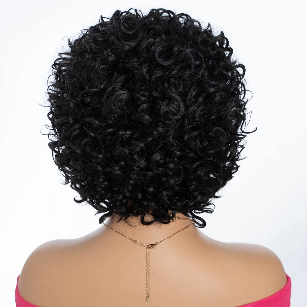 Short Curly Human Hair Wigs for Black Women P4/27/30 Short Curly Wigs for African American Glueless Human Hair Wigs
